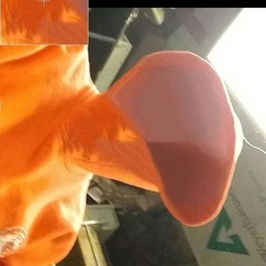 Meet your Posher, Casey